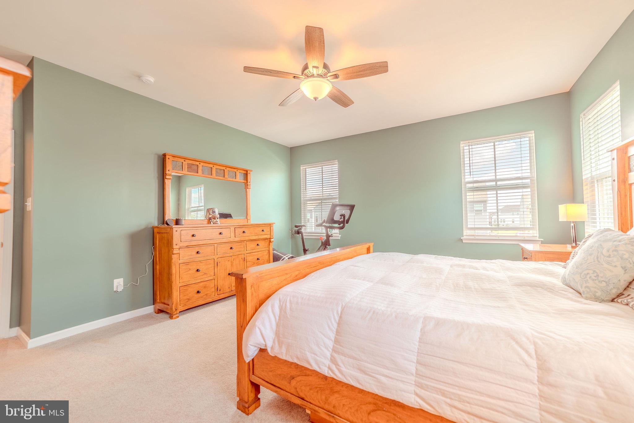 NORBORNE GLEBE - Residential