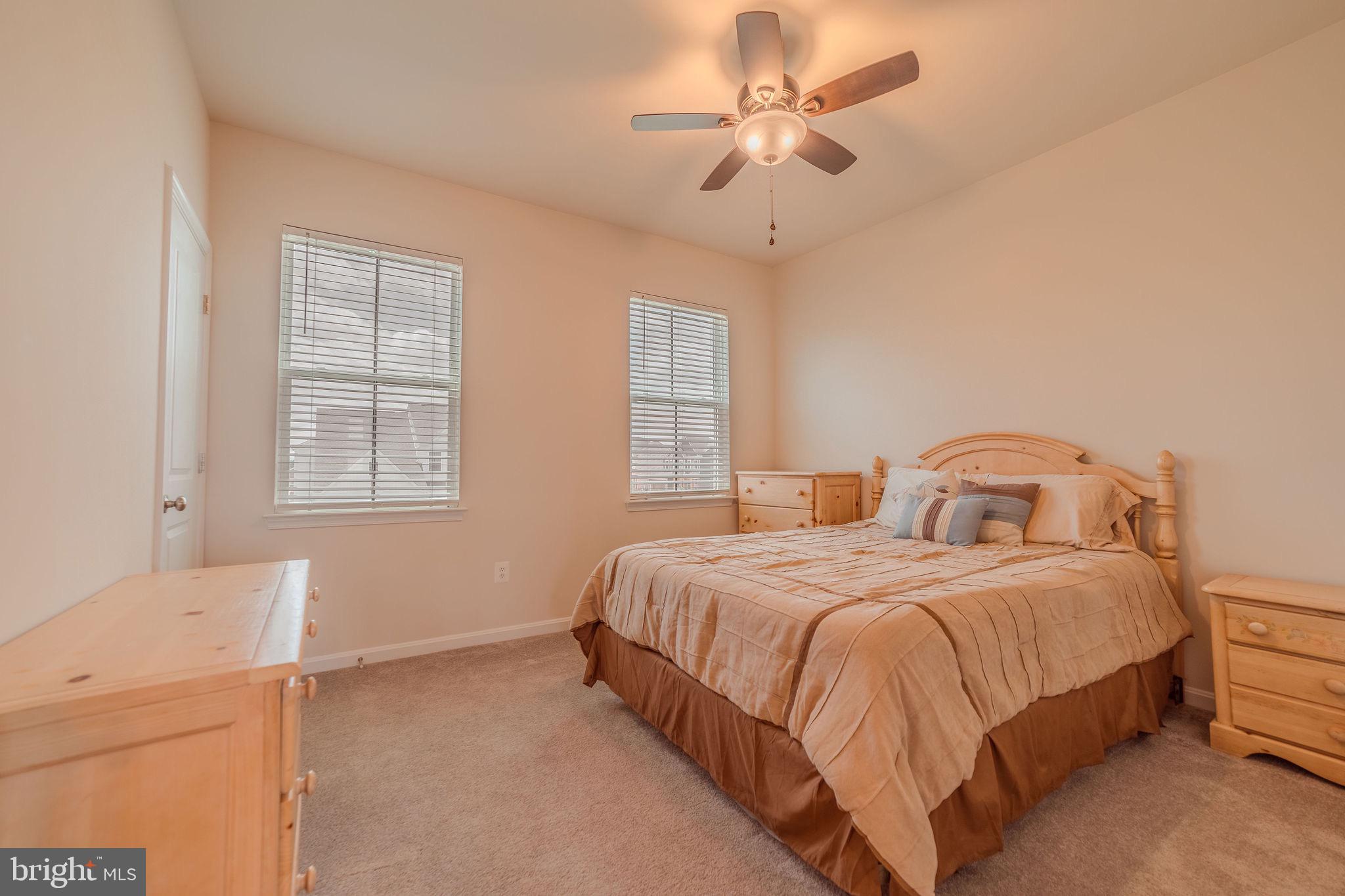 NORBORNE GLEBE - Residential