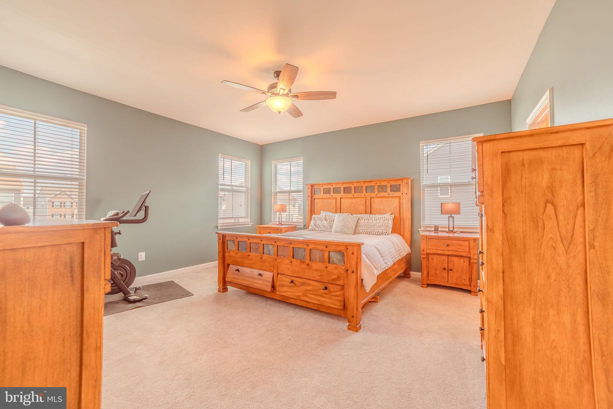 NORBORNE GLEBE - Residential