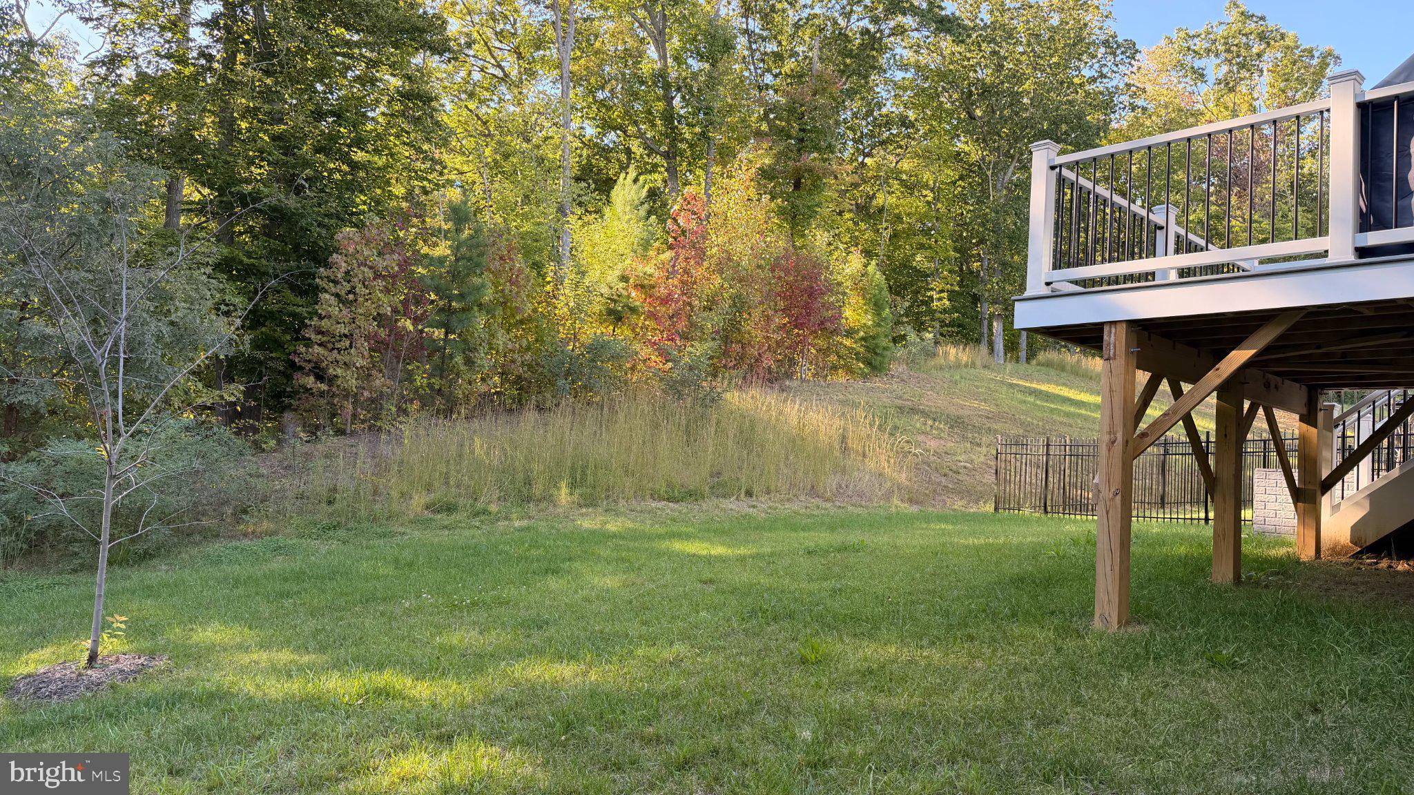 2020 SILVER SYCAMORE LANE