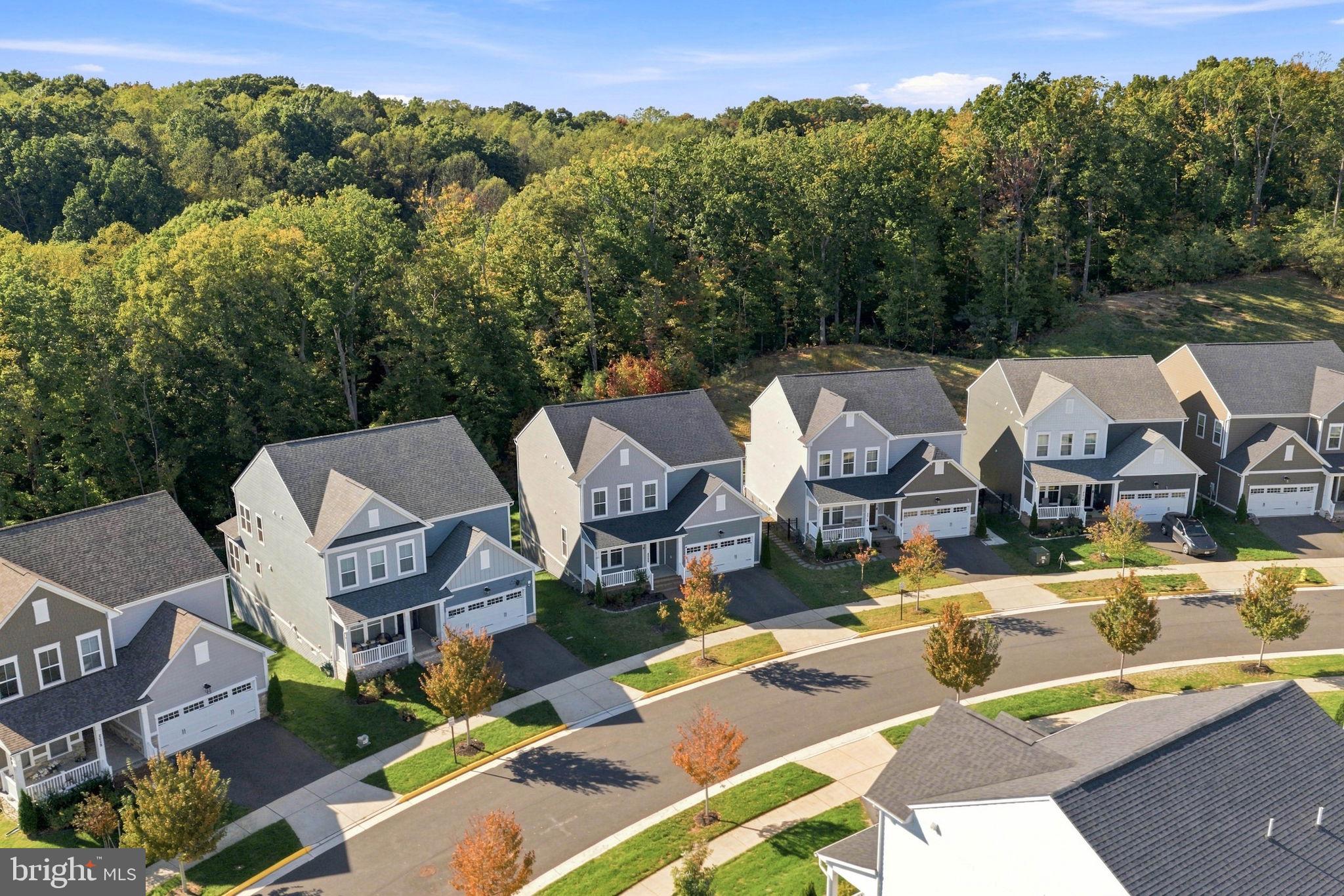2020 SILVER SYCAMORE LANE