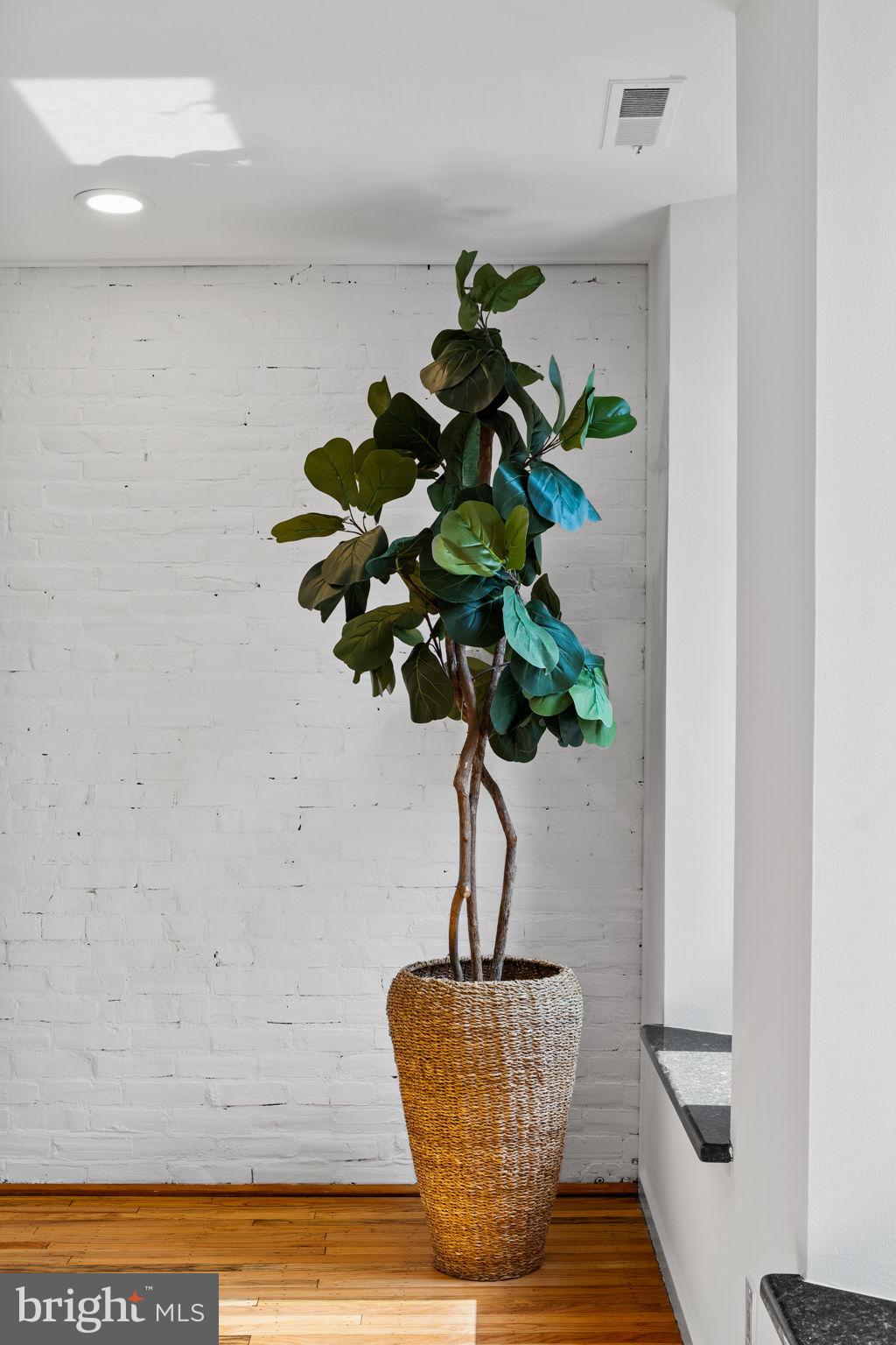 QUEEN VILLAGE - Residential