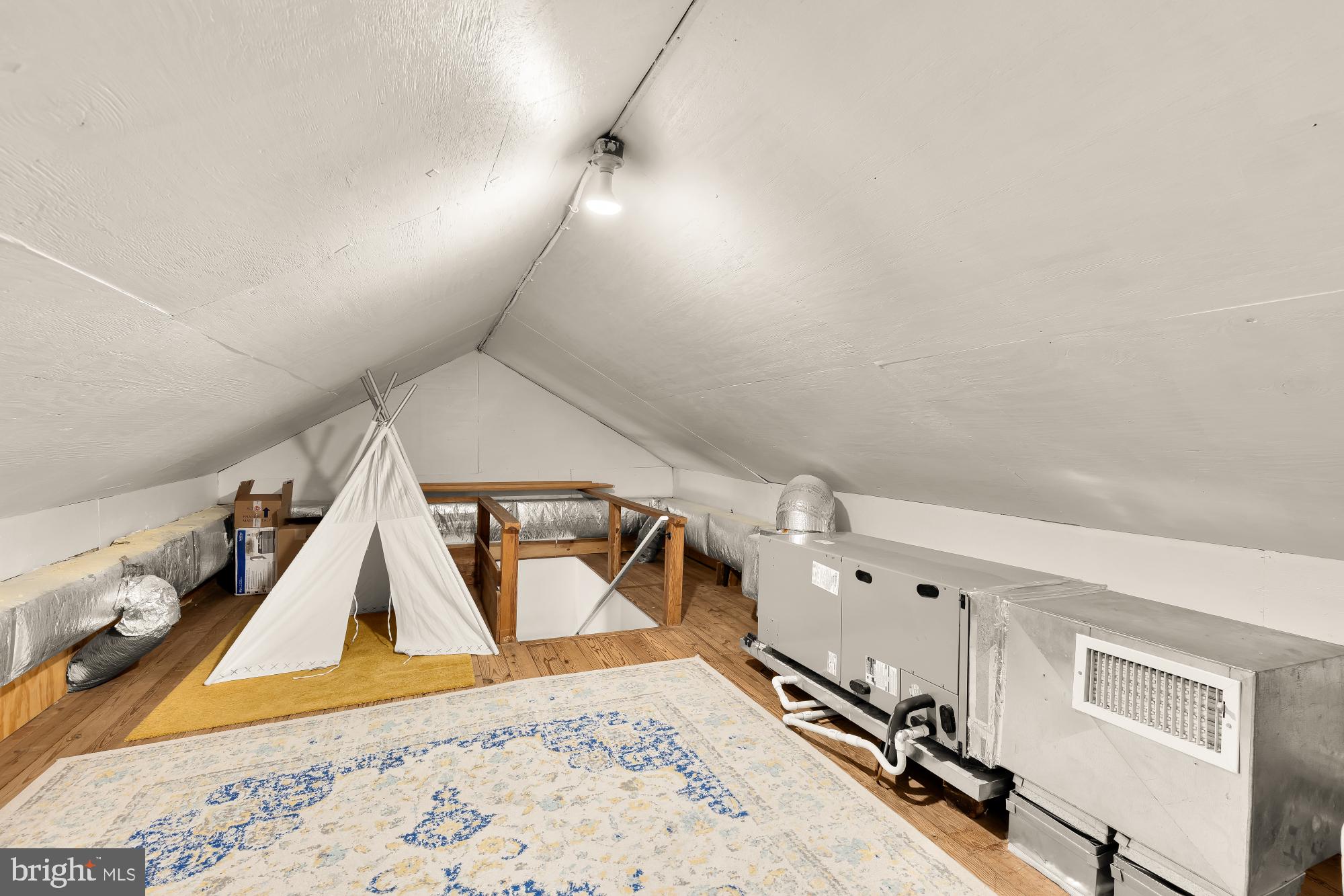 CHEVY CHASE VILLAGE - Residential