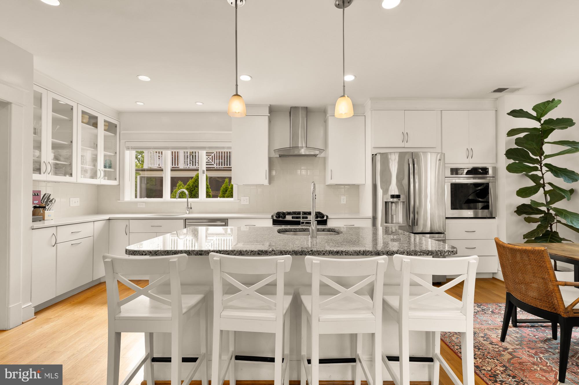 CHEVY CHASE VILLAGE - Residential