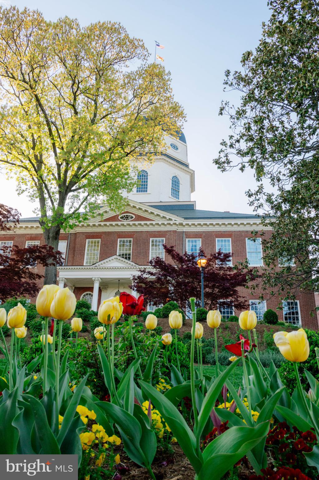 ANNAPOLIS COVE - Residential