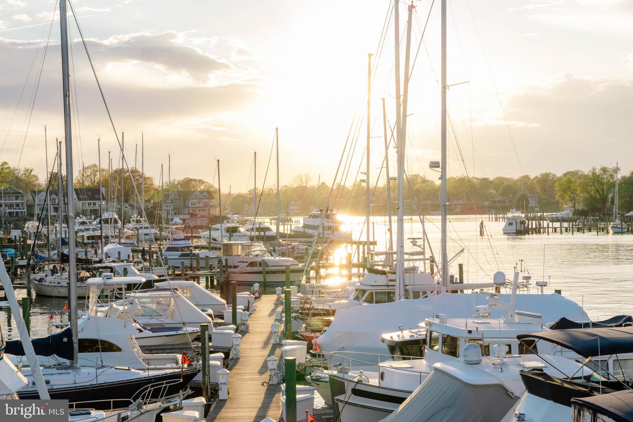 ANNAPOLIS COVE - Residential