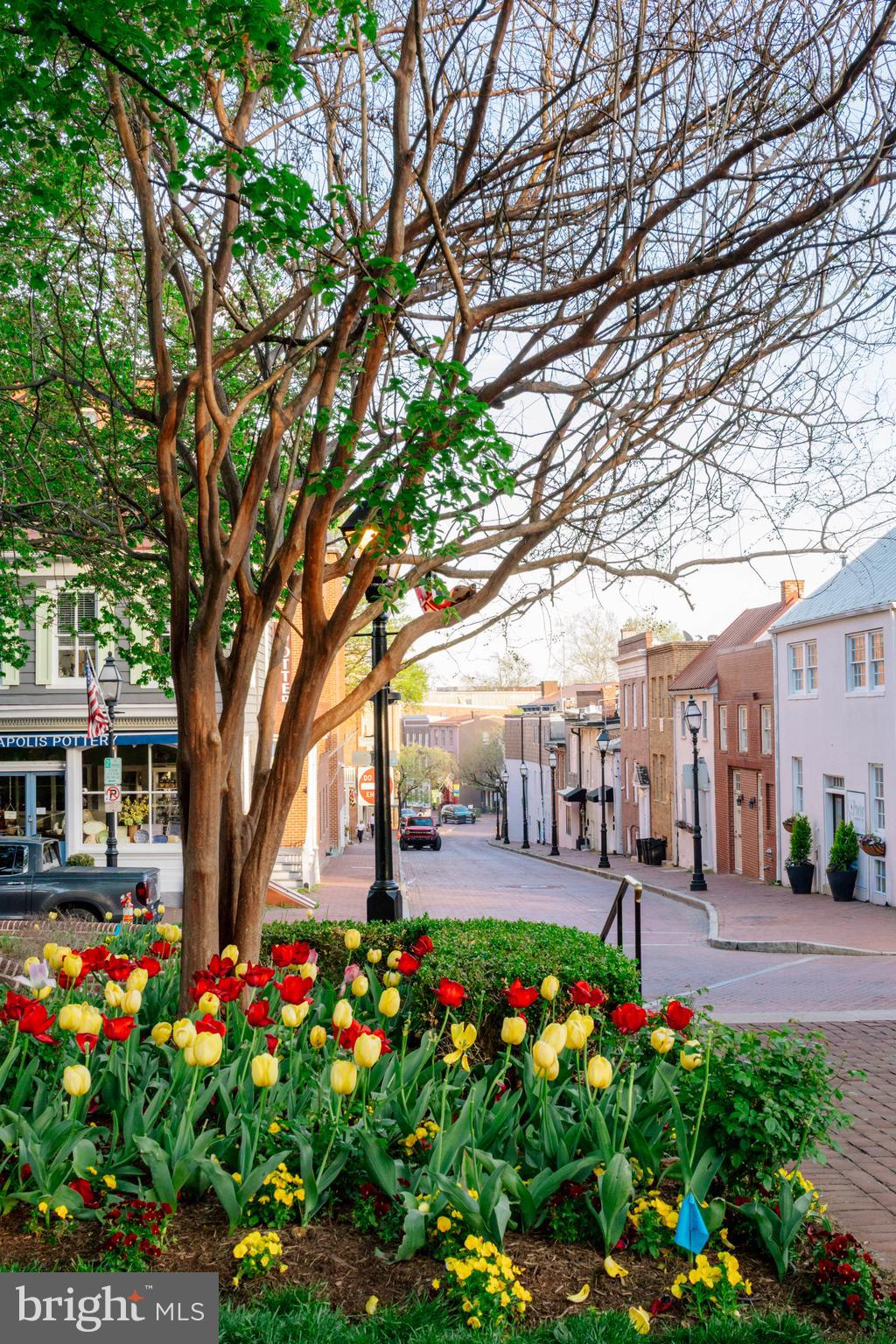 ANNAPOLIS COVE - Residential