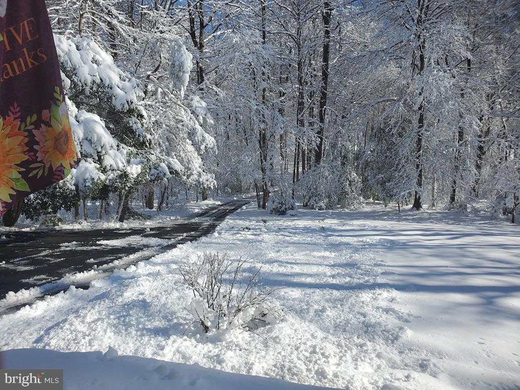 CARRIAGE HILL ESTATES - Residential