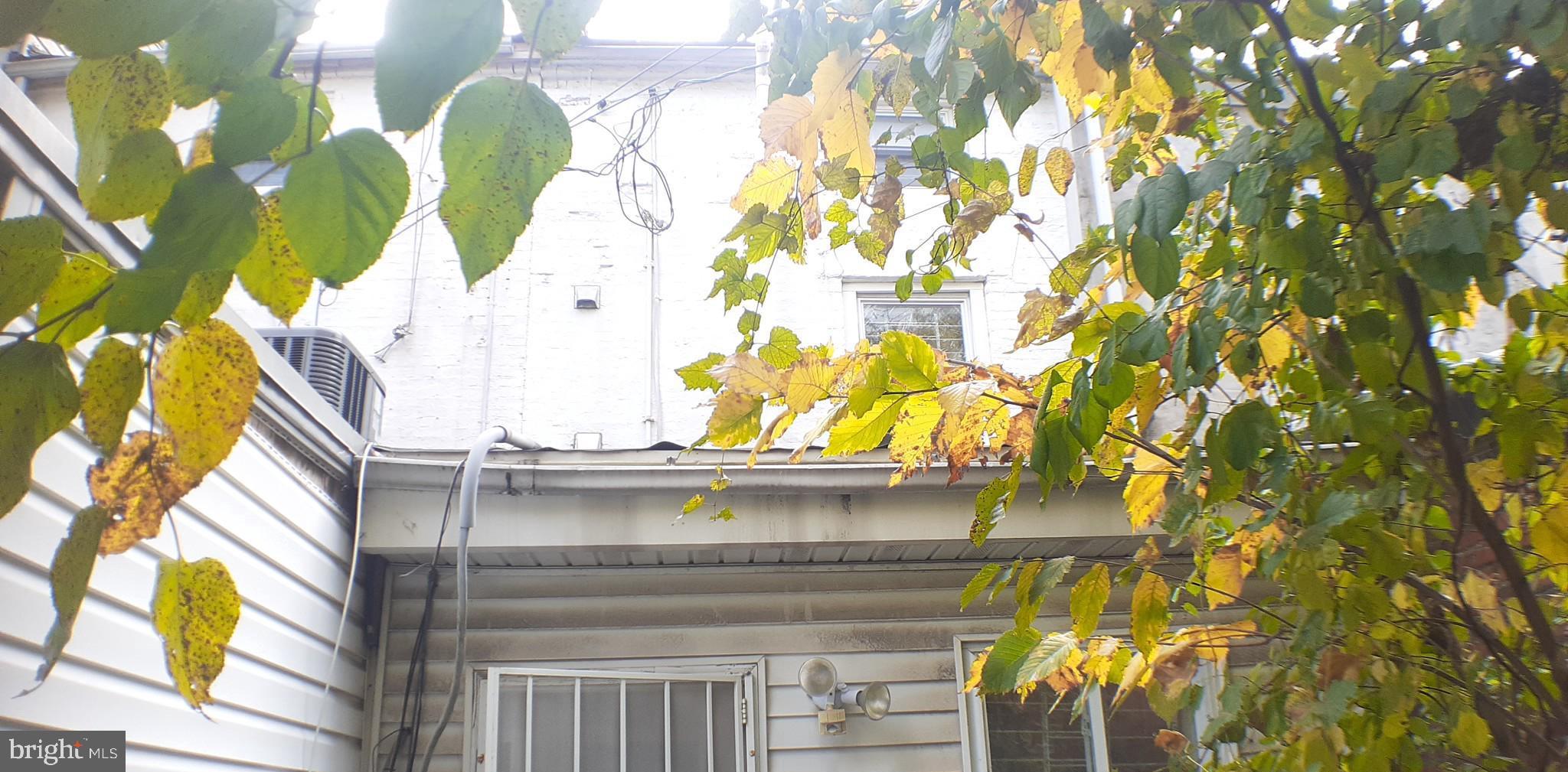 HOLLINS MARKET - Residential