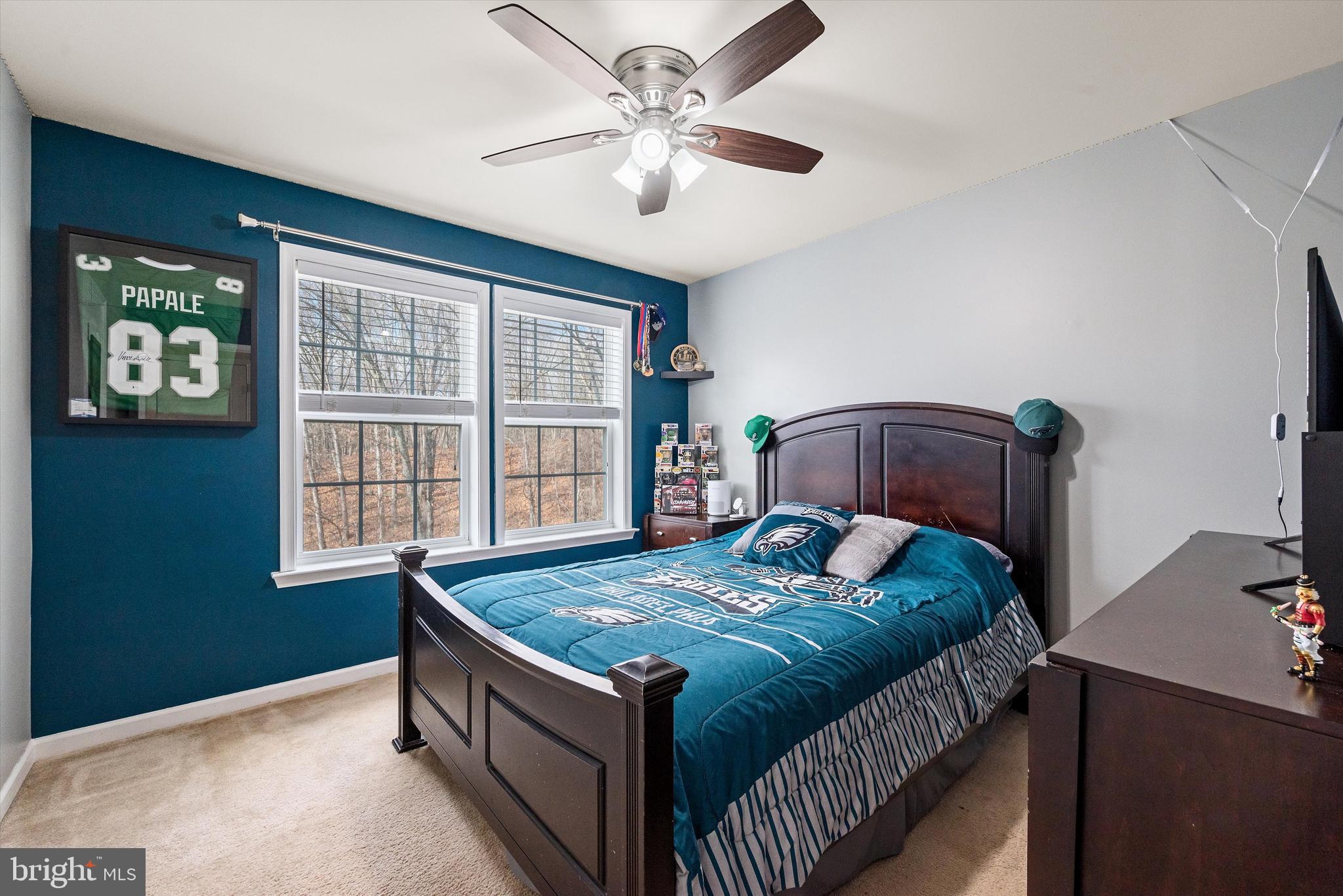 LAKE HOLIDAY ESTATES - Residential