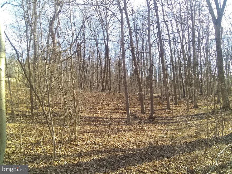 Unrestricted 27 .08 acres, NO Restrictions or HOA here, Beautiful property near Berkeley Springs WV. From the stream to the ridge line this property offers multiple build sites, and would be perfect for multifamily endeavors, hunting, hiking or further development. Near the newly renovated and reopening Coolfont resort and Cacapon State Park this land offers many possibilities. Roads are ruffed in for easy access.  Call Today