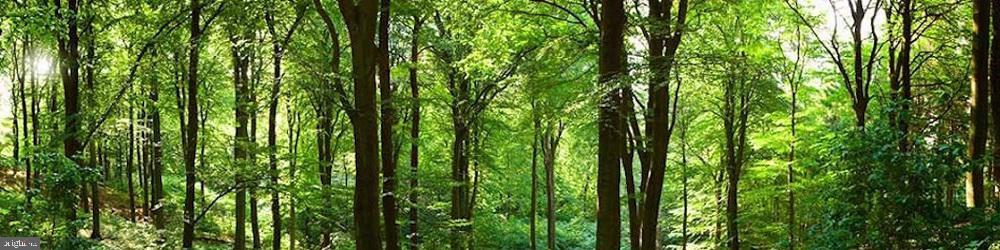 FAIRFAX VILLA - Residential