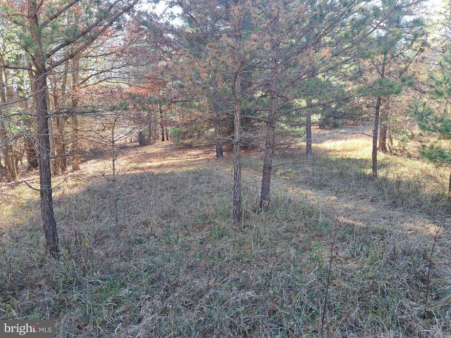 Idyllic 2.13 AC homesite locating within golf cart distance to the prestigious Thousand Acres Golf Club at Deep Creek Lake. This lot is nestled in the trees along a county maintained road and borders beautiful pasture land.