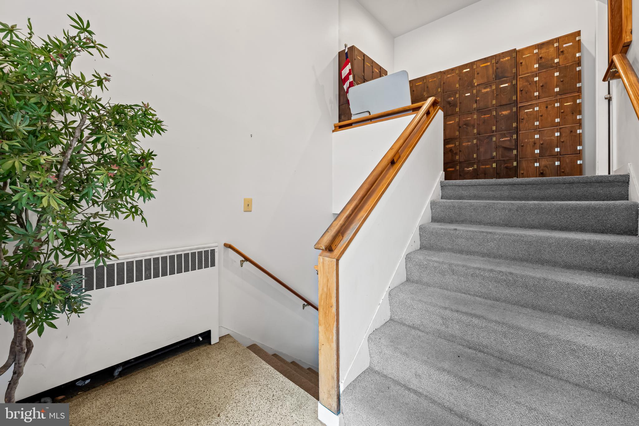 212 DUKE OF GLOUCESTER STREET