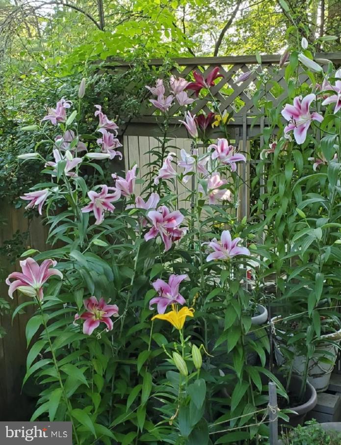 FALLS ORCHARD - Residential