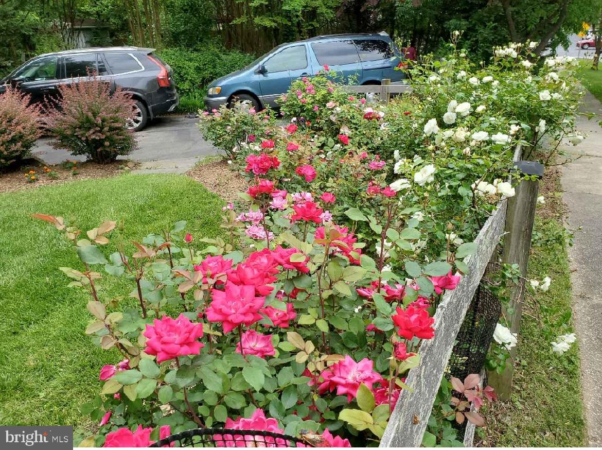 FALLS ORCHARD - Residential