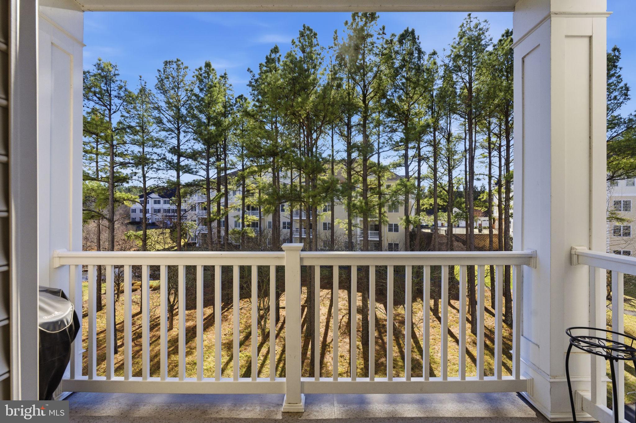 REGENCY AT DOMINION VALLEY - Residential