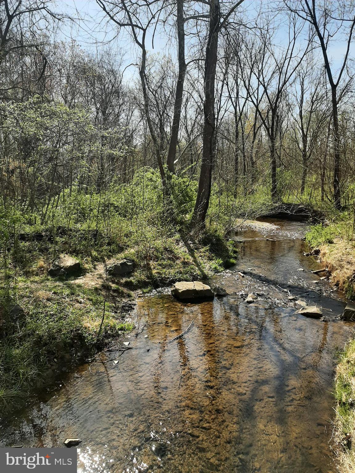 REGENCY AT DOMINION VALLEY - Residential