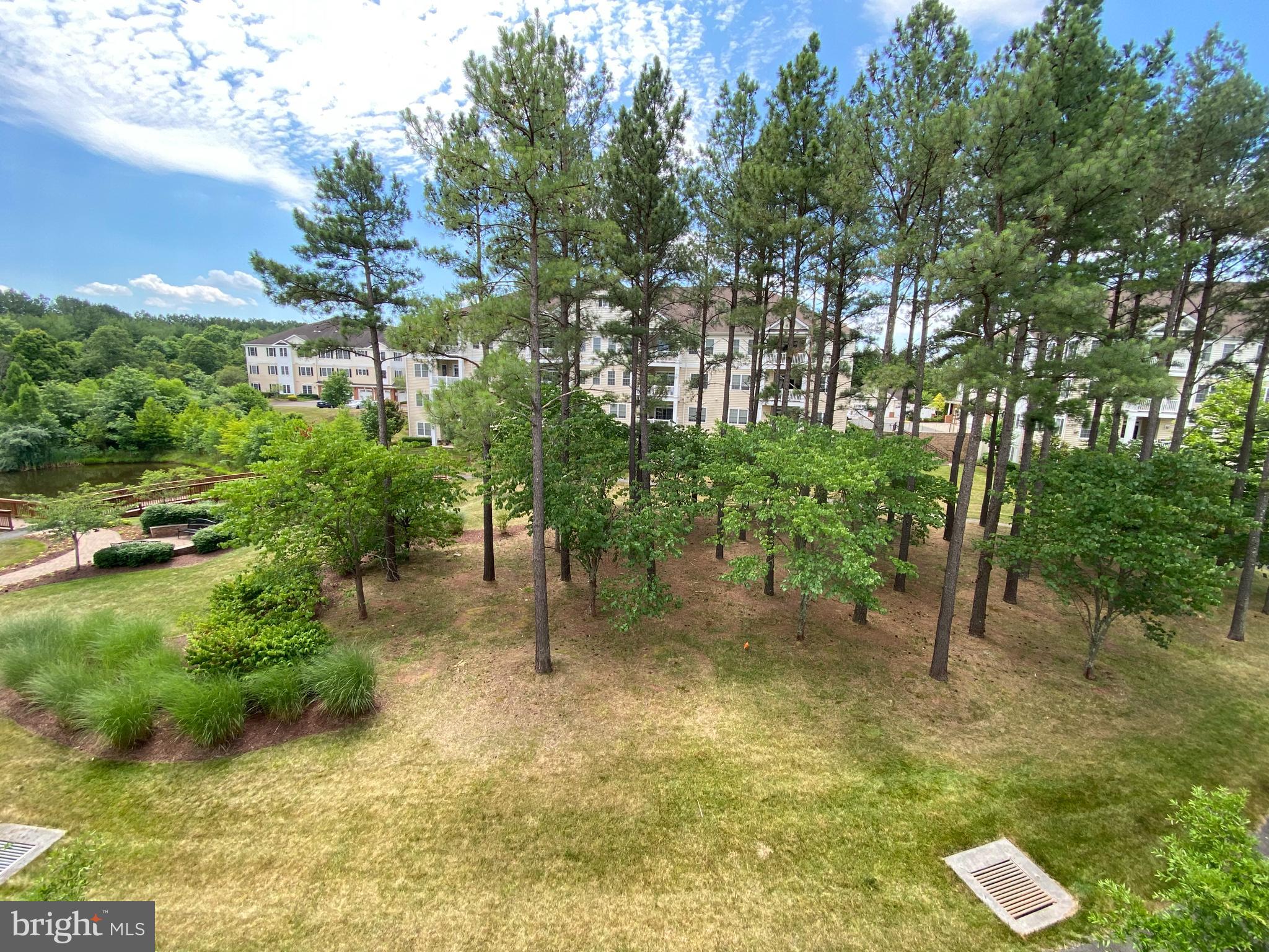 REGENCY AT DOMINION VALLEY - Residential