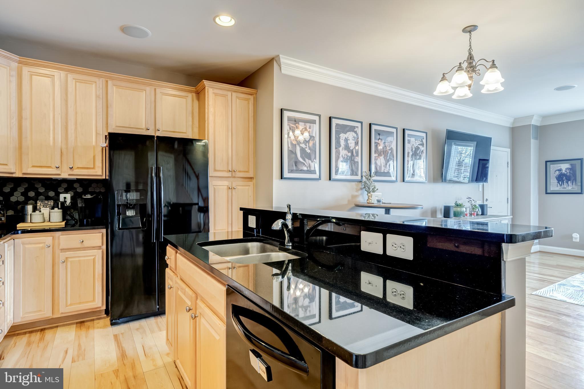 GOOSE CREEK VILLAGE CONDOMINIUM - Residential