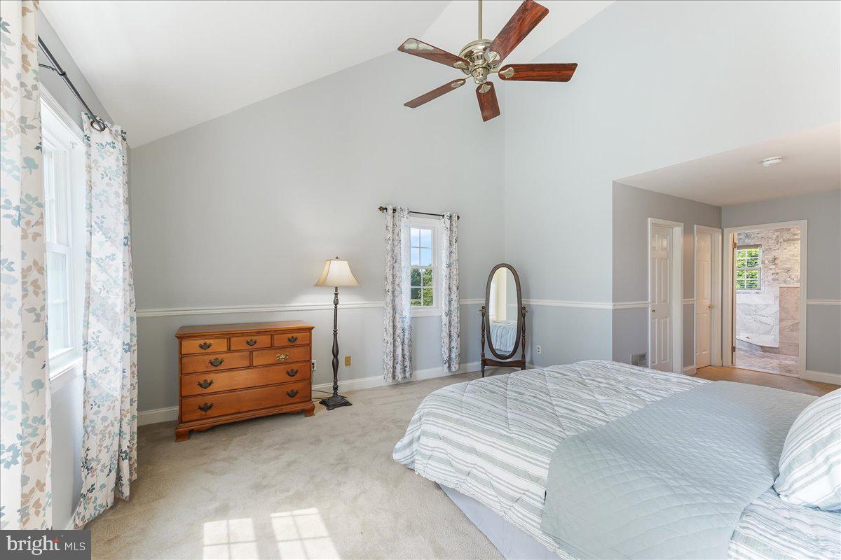 DUCK FARM - Residential