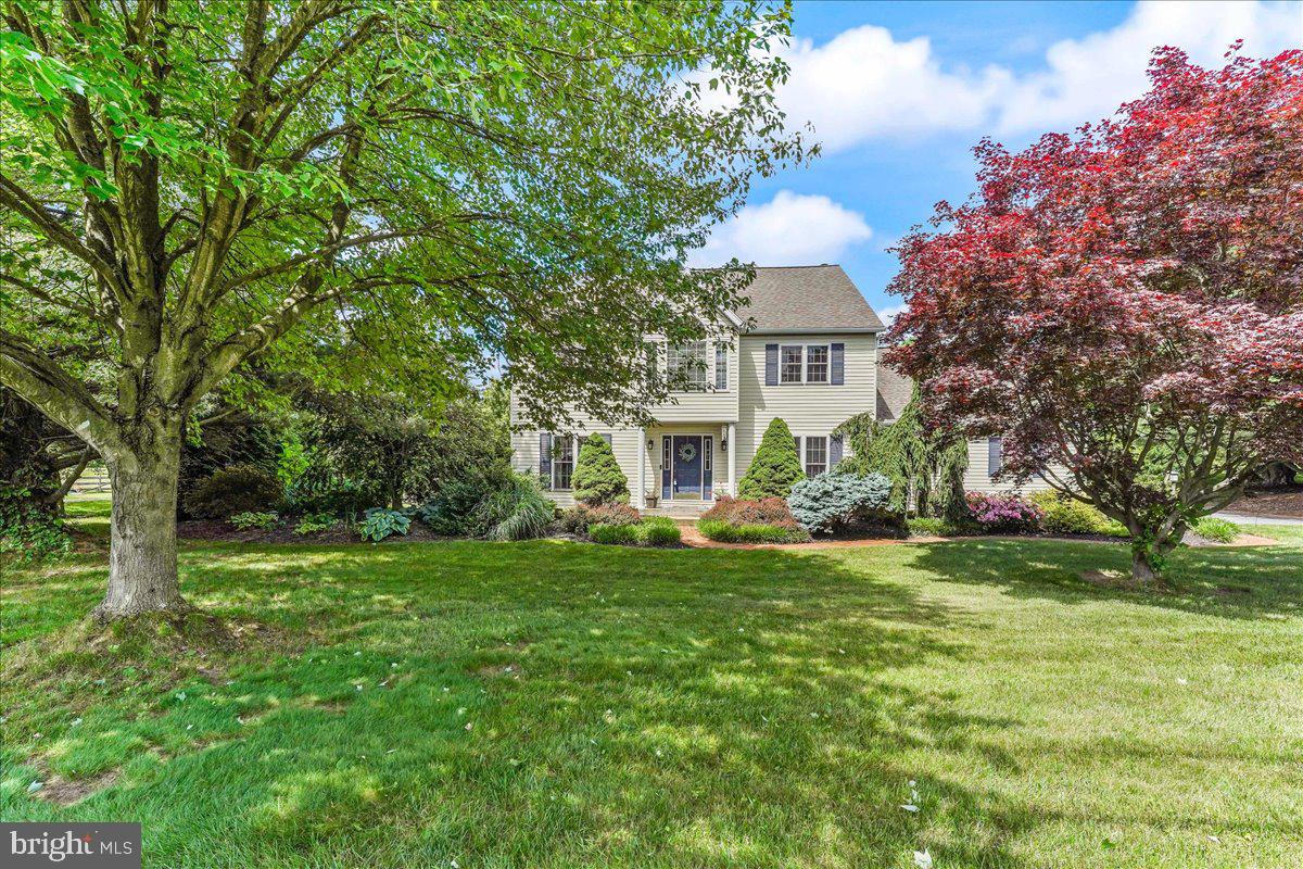 DUCK FARM - Residential