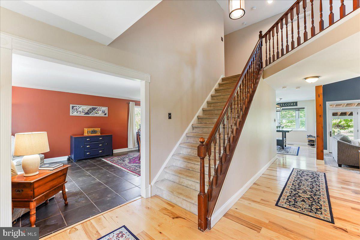 DUCK FARM - Residential