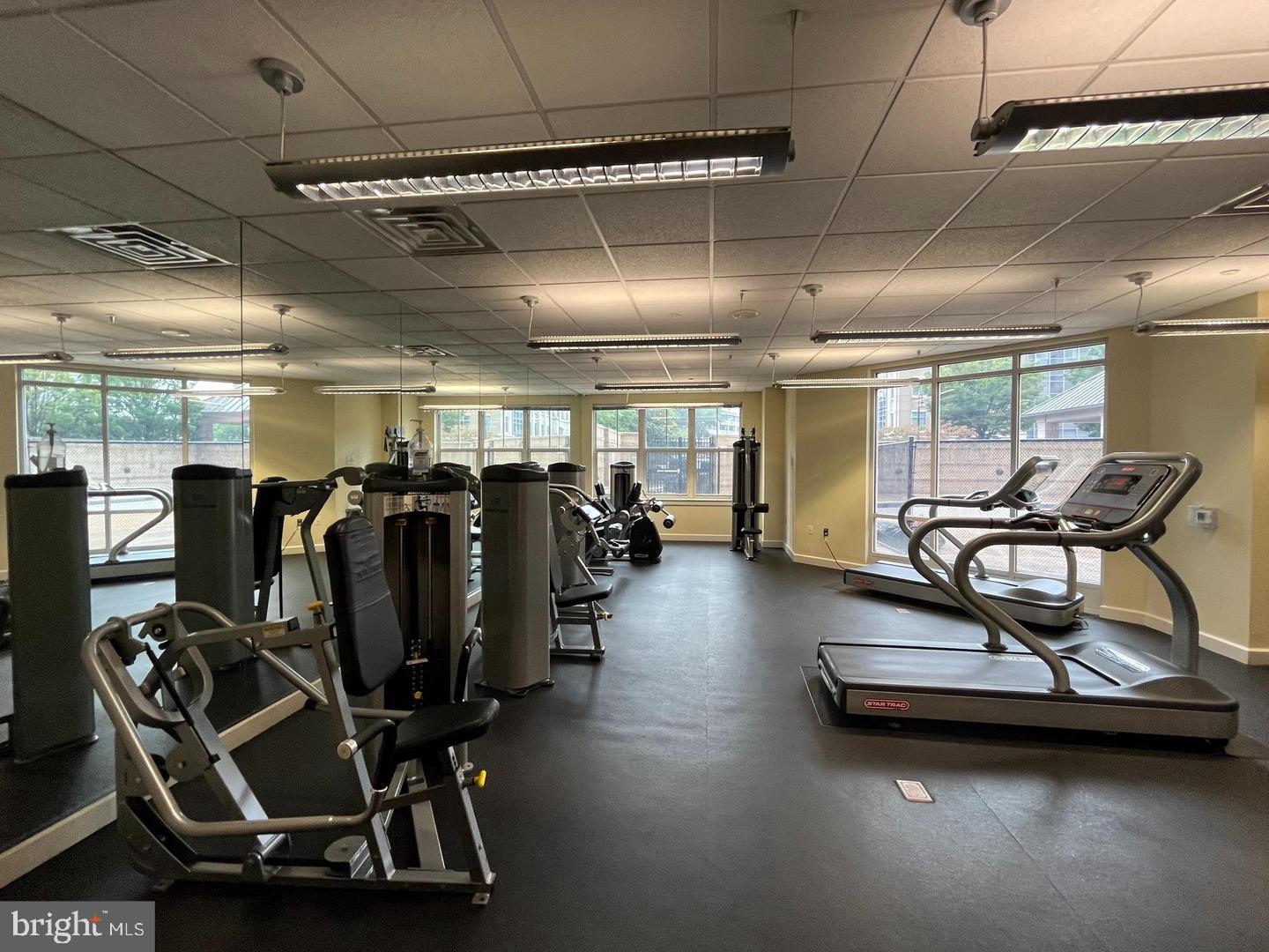 MERCER - Residential Lease