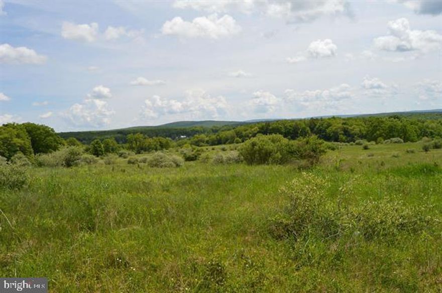 Spectacular Panoramic Views from this 1.94 Acre Level Lot Located in Snowy Creek Estates. Underground utilities, city water hookup available, you would need to install a septic. Build your Cabin/Chalet or what ever style of home that would fit your needs. Close to the MD line, within 9 minutes to Oakland Md. Fantastic Country Setting. If you are looking to be away from it all but yet close to shopping, restaurants and more than this property is waiting for YOU! Great Price for almost 2 acres of land. Within 25 minutes to Deep Creek Lake and all its amenities, Wisp Ski Resort & also Enjoy ASCI (Adventure Sports Center International) white water rafting. Only minutes to Swallow Falls and Herrington Manor Sate Parks. You are so close to all outdoor activities! Call today for more information...