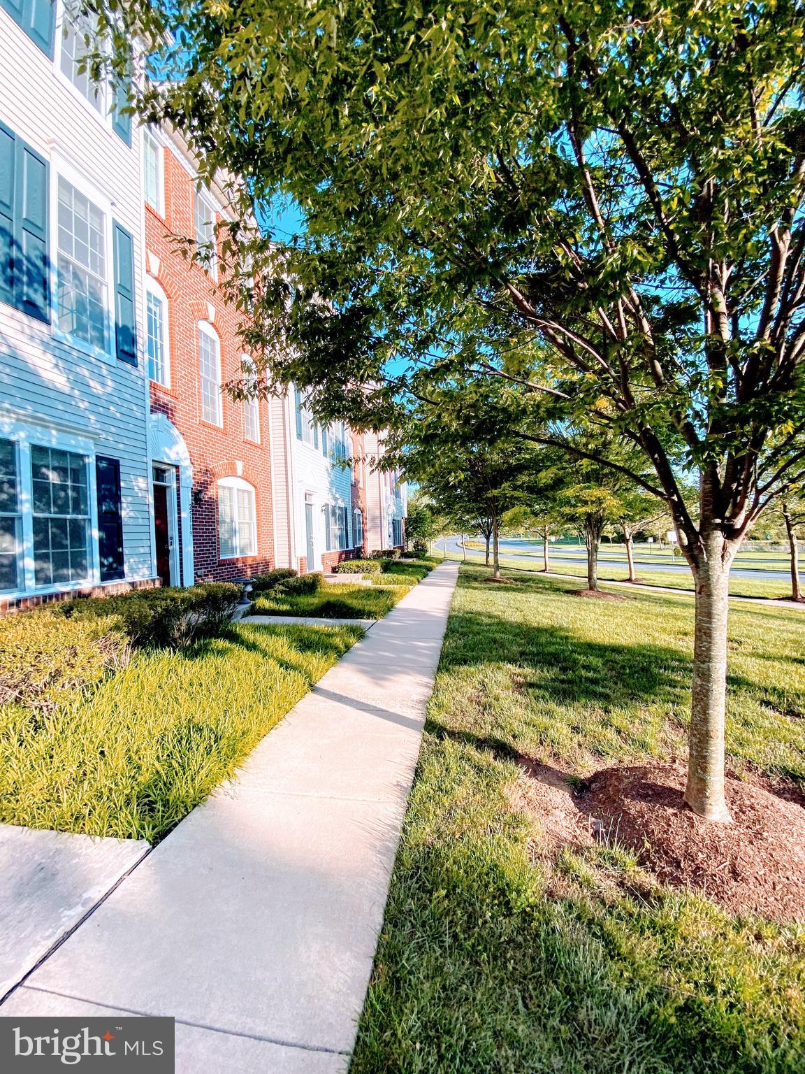 AMBERLEA AT SOUTH RIDING - Residential Lease