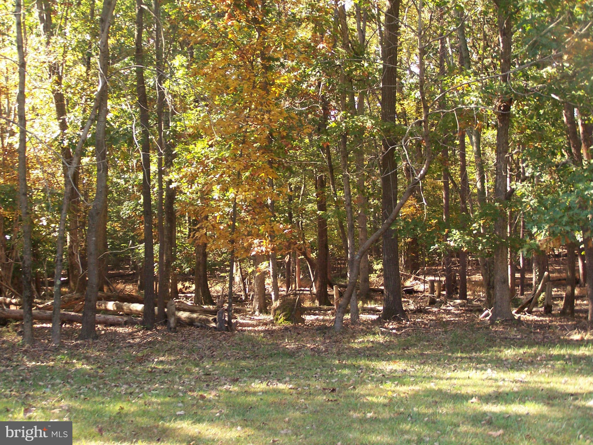 TWIN LAKES - Residential