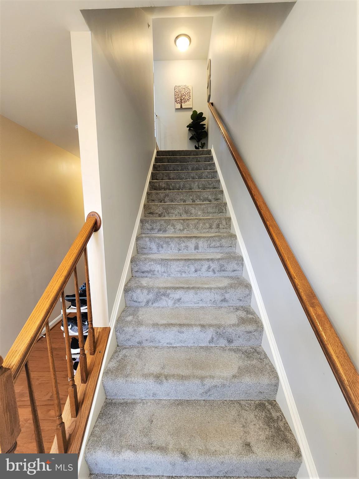 BALLENGER CREEK - Residential Lease