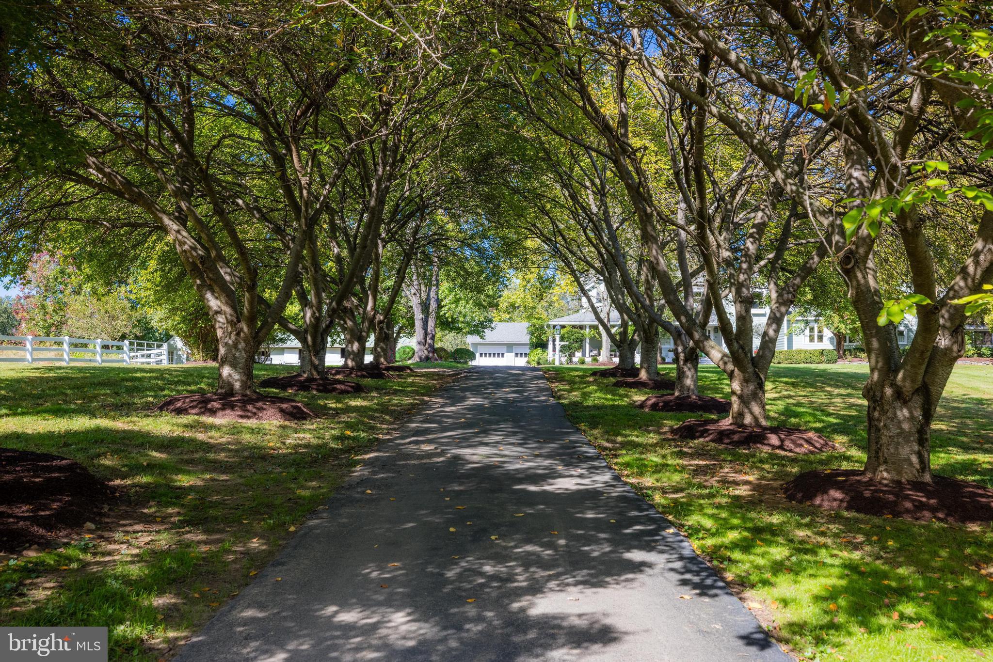 FORESTVILLE - Residential