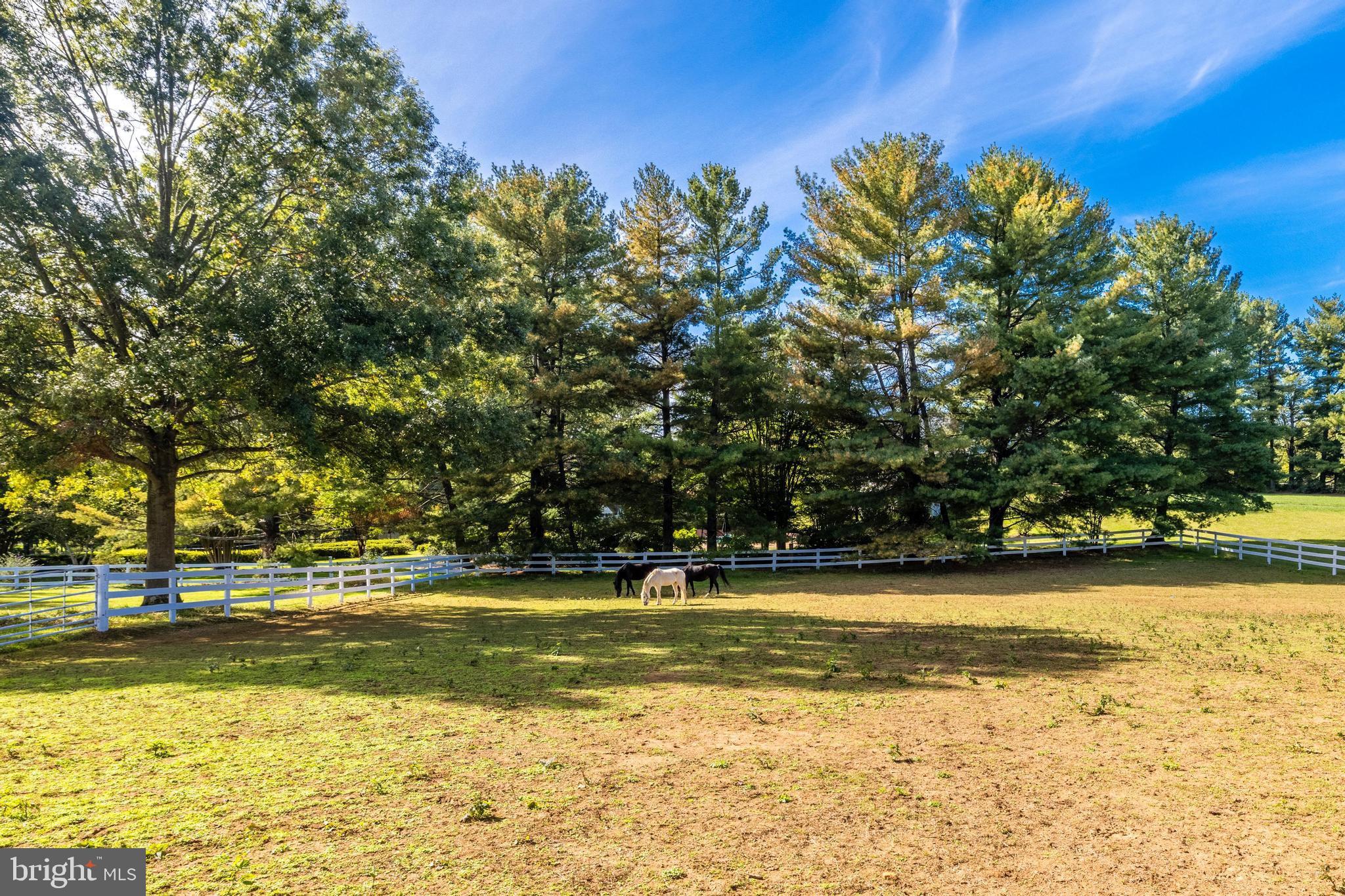 FORESTVILLE - Residential