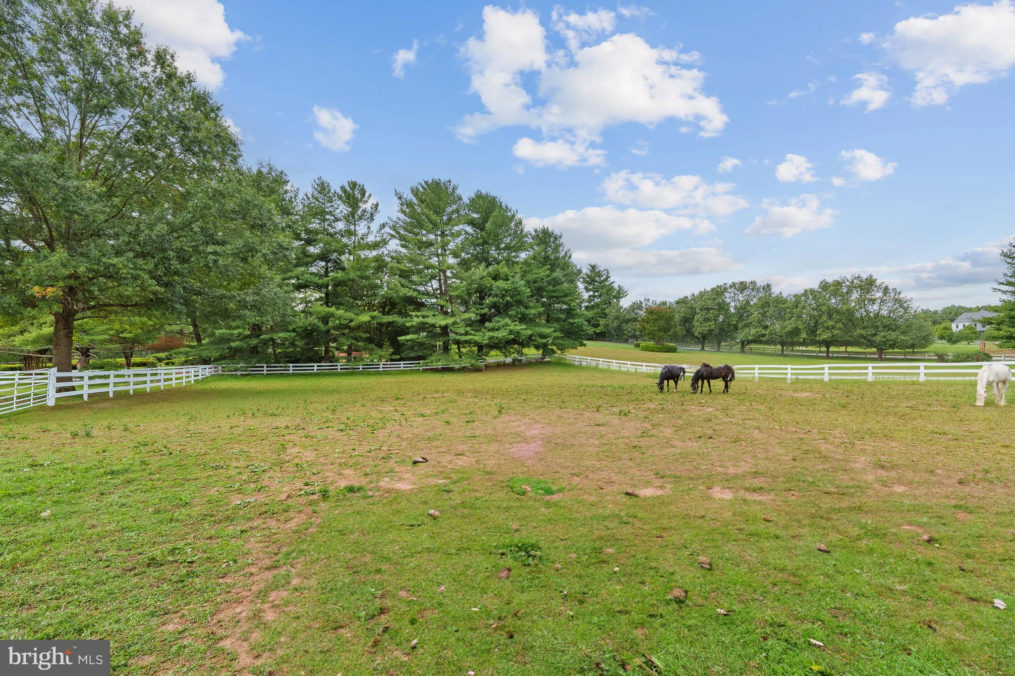 FORESTVILLE - Residential