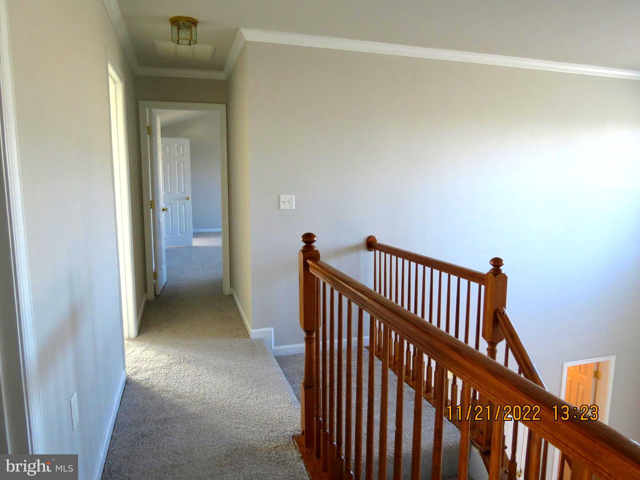 MCCAULEY CROSSING - Residential