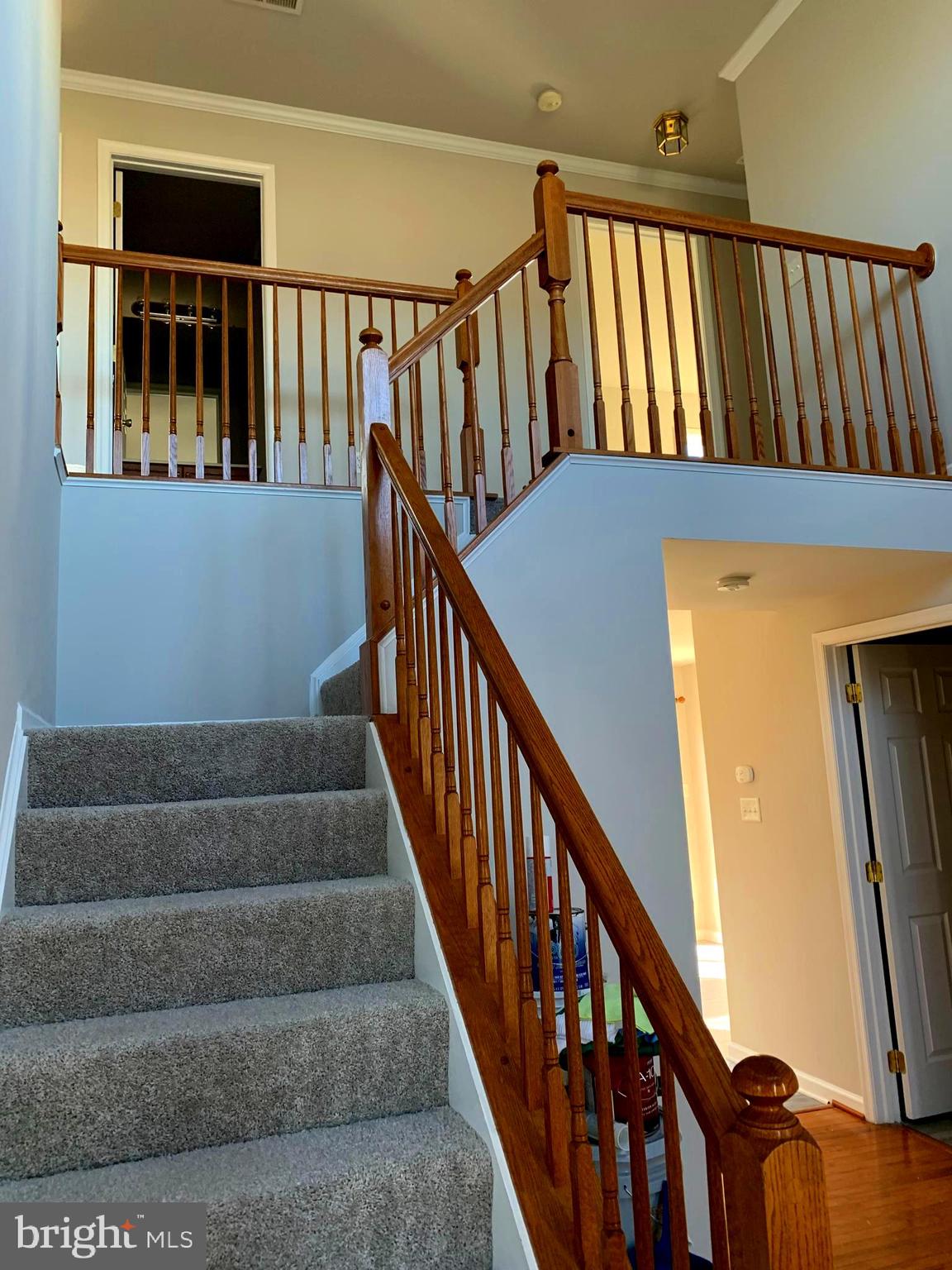 MCCAULEY CROSSING - Residential