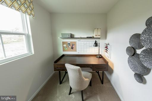 CAMPBELL CROSSING - Residential