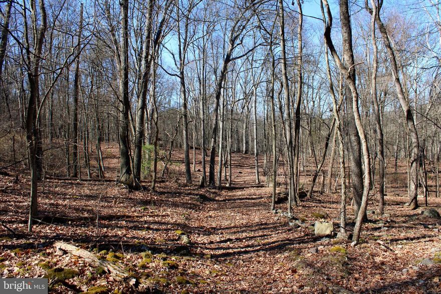 Positioned securely within the friendly confines of Hamilton Estates, this 5.03-acre parcel offers a tranquil retreat in the heart of Hampshire County, WV, approximately 2 hours from the heart of Washington DC. Surrounded by a dense canopy of oak and hickory trees, the property exudes a sense of peace and seclusion. Turnkey, it already possesses a driveway leading to a 120 sq. ft. storage building, providing a basecamp for camping or simply enjoying the great outdoors. In close proximity to an abundance of outdoor activities available nearby, with the picturesque South Branch of the Potomac River beckoning just moments away. Whether it's fishing, hiking, or simply immersing oneself in the beauty of the surrounding landscape, there's no shortage of opportunities for exploration and relaxation. Offering limitless potential for creating a permanent retreat, with an inviting homesite awaiting your vision. Take advantage of this rare opportunity to build the home of your dreams in a setting that epitomizes tranquility and natural beauty. Contact us today to secure your slice of Hamilton Estates and embark on a journey towards a simpler, more serene way of life.