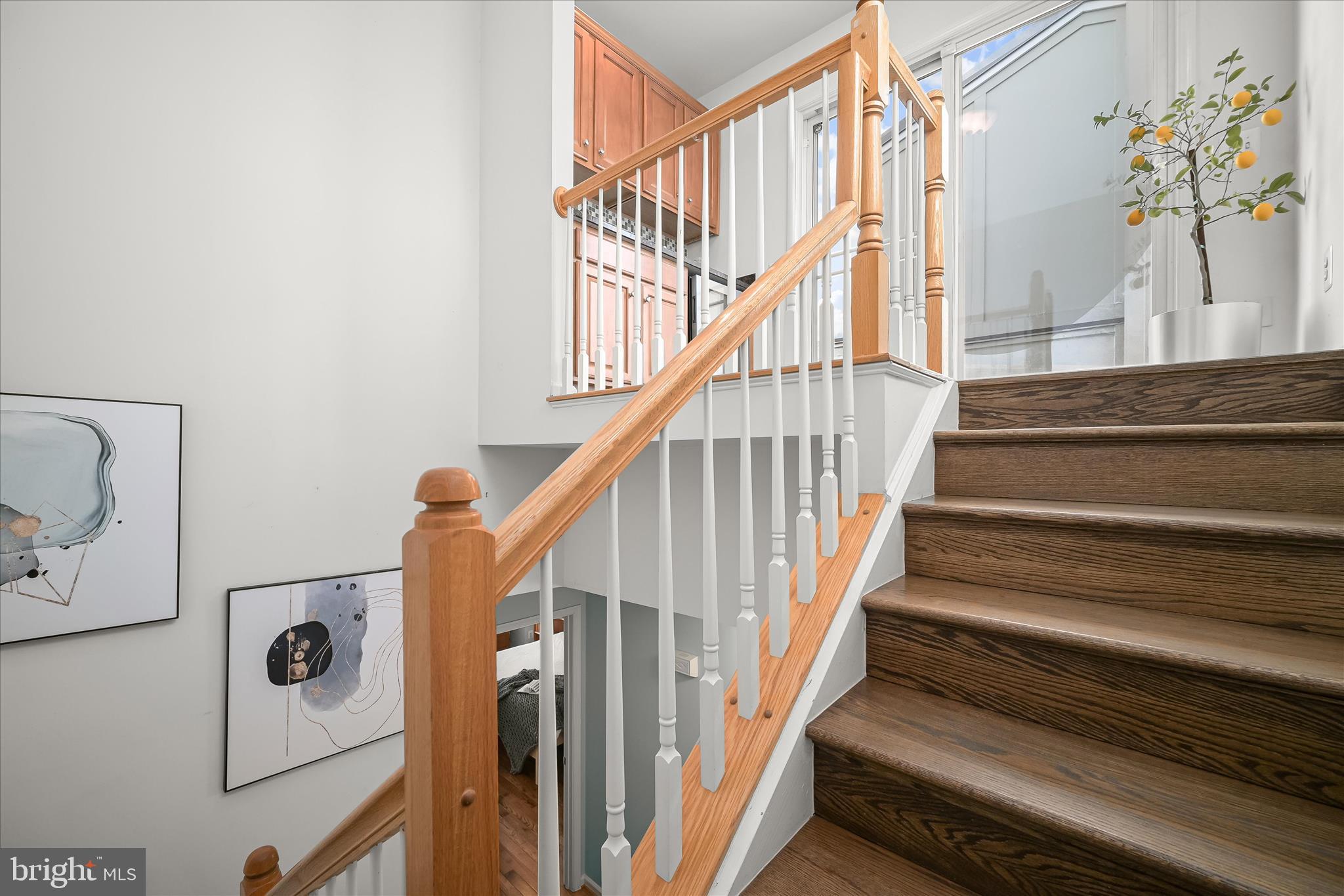 LOCUST POINT - Residential