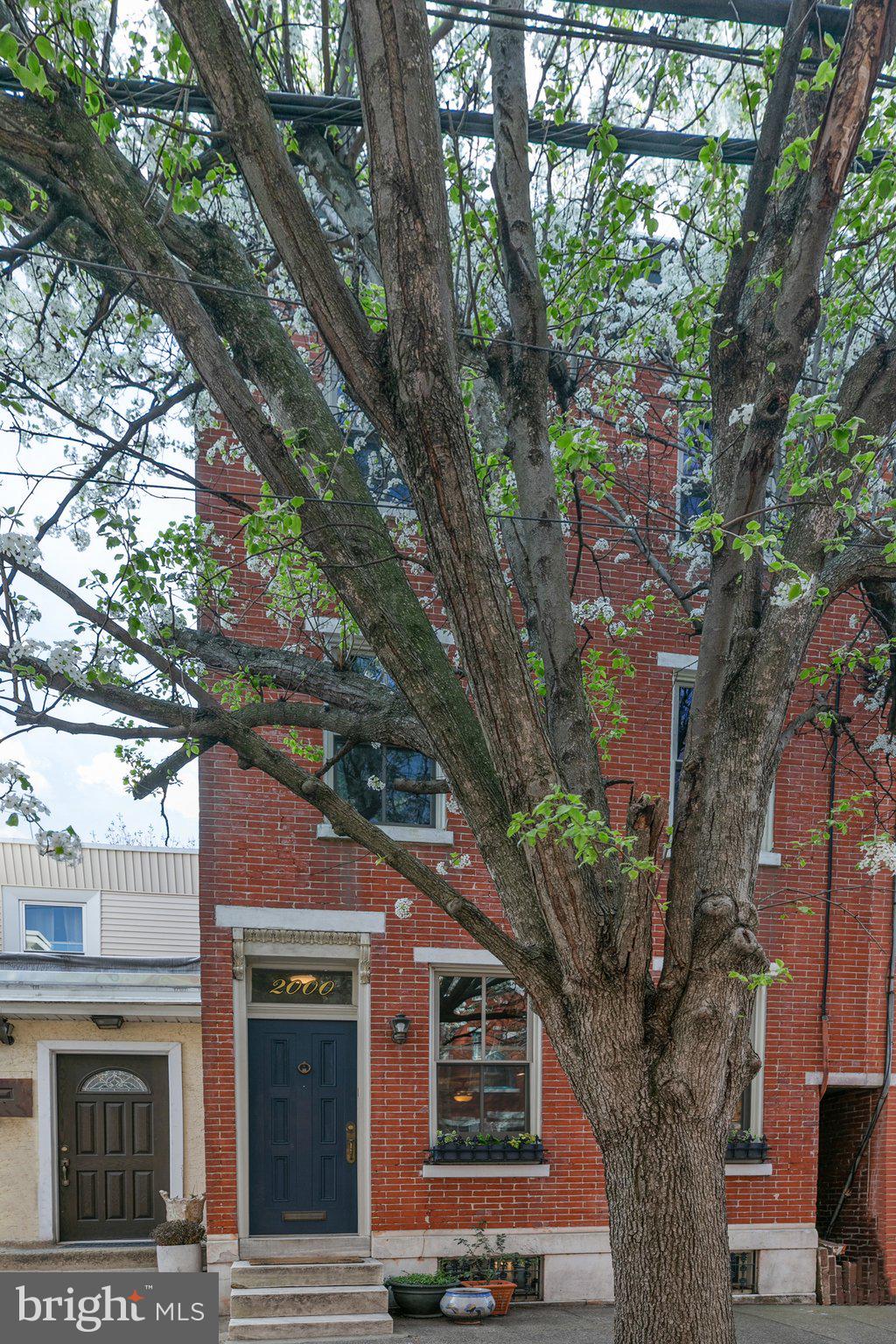 SPRING GARDEN - Residential