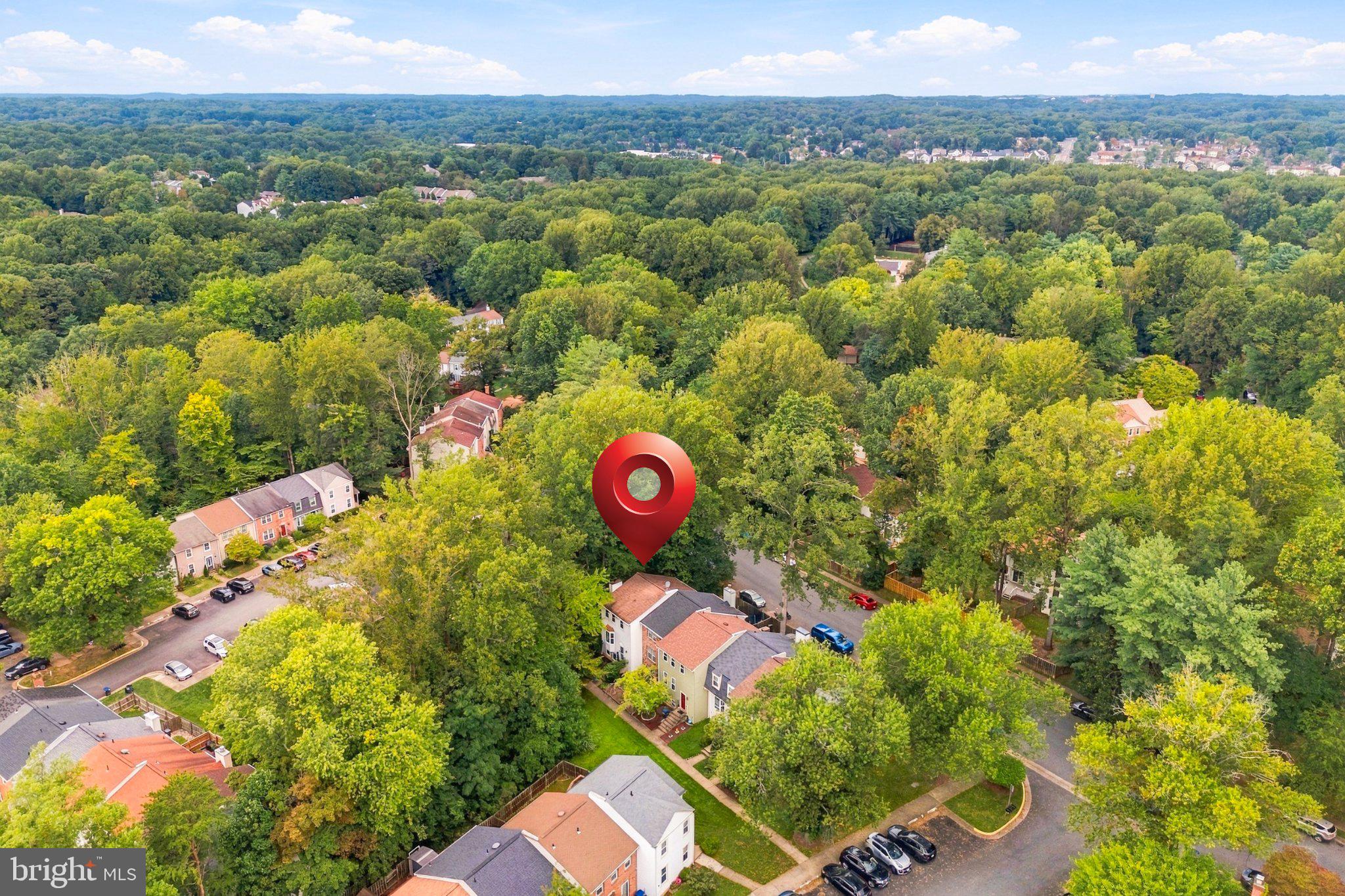 10008 CHESTNUT WOOD LANE