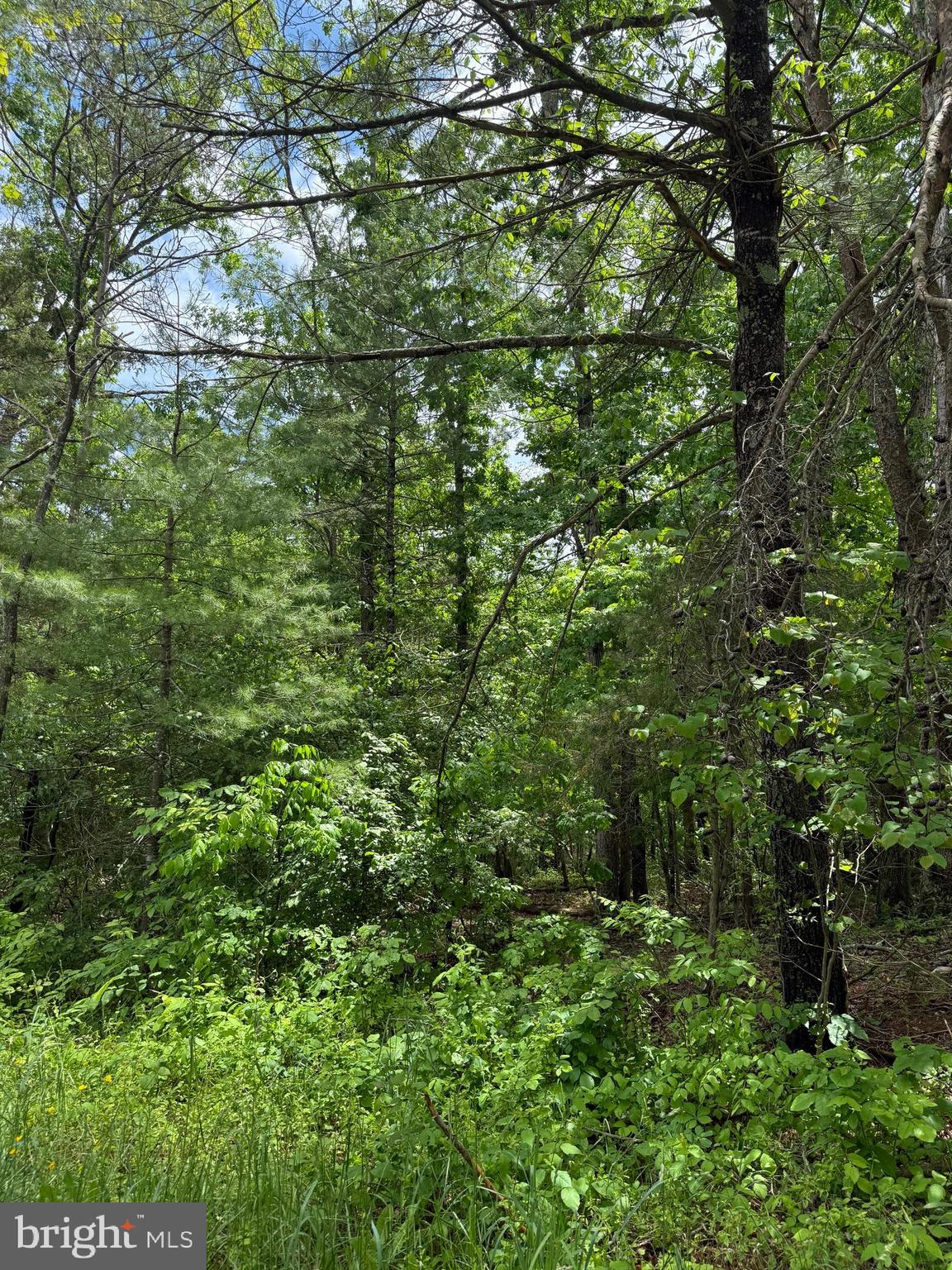 ALUM SPRINGS ROAD
