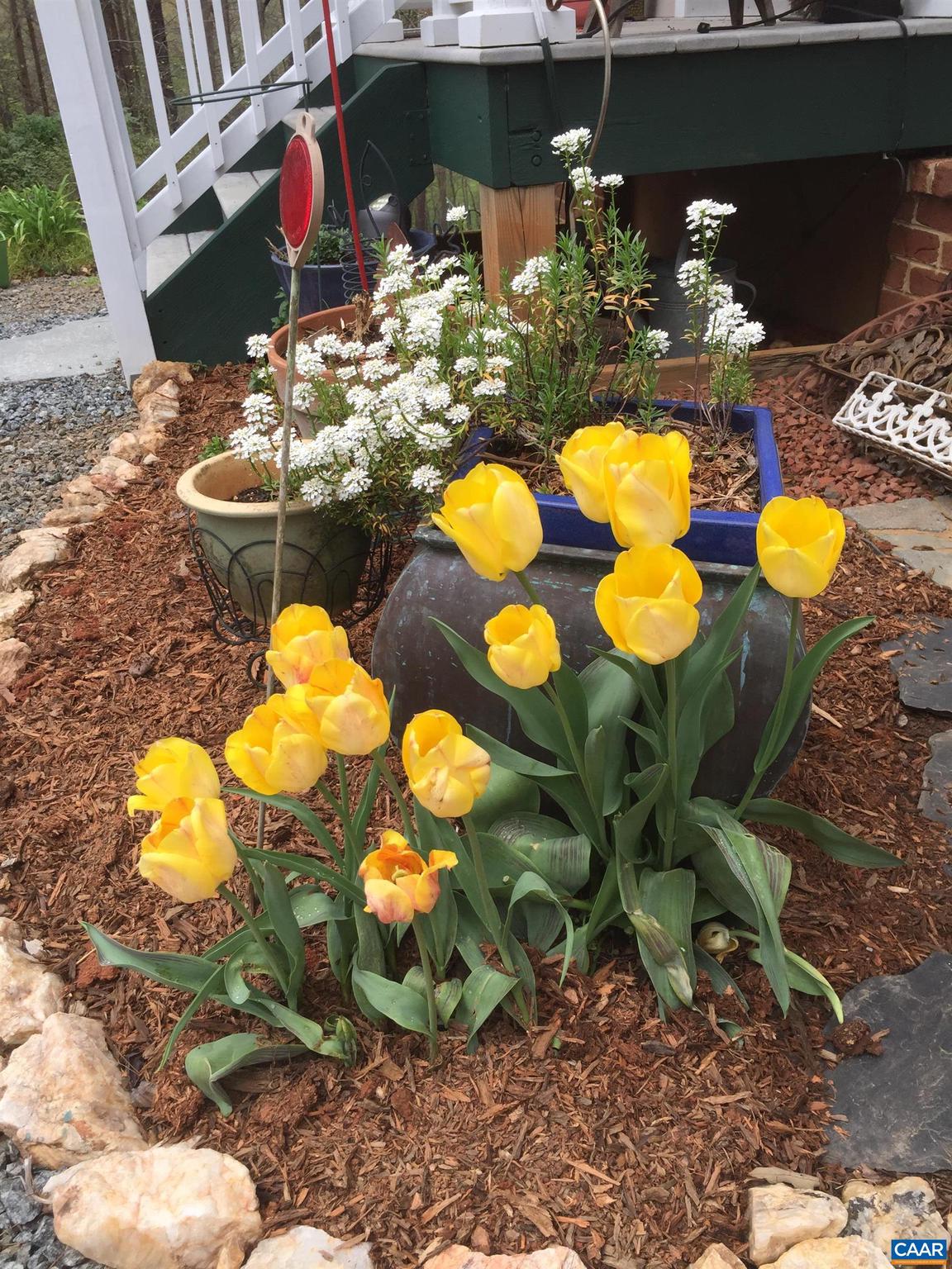 REVEILLE FARM - Residential