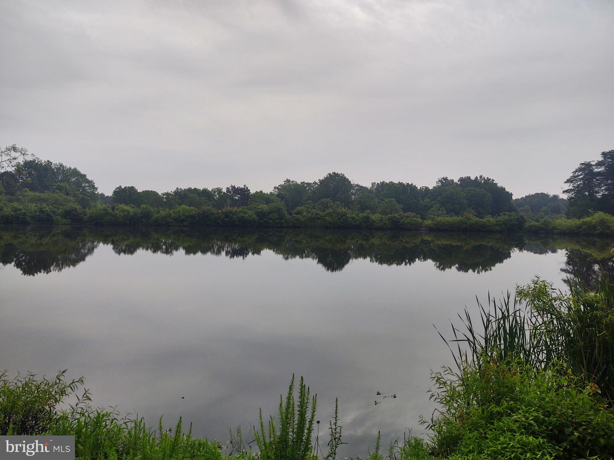 15564 SMITHFIELD PLACE