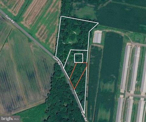 Vacant Land For Sale - Gum Rd<br/> FRANKFORD, DE 19975