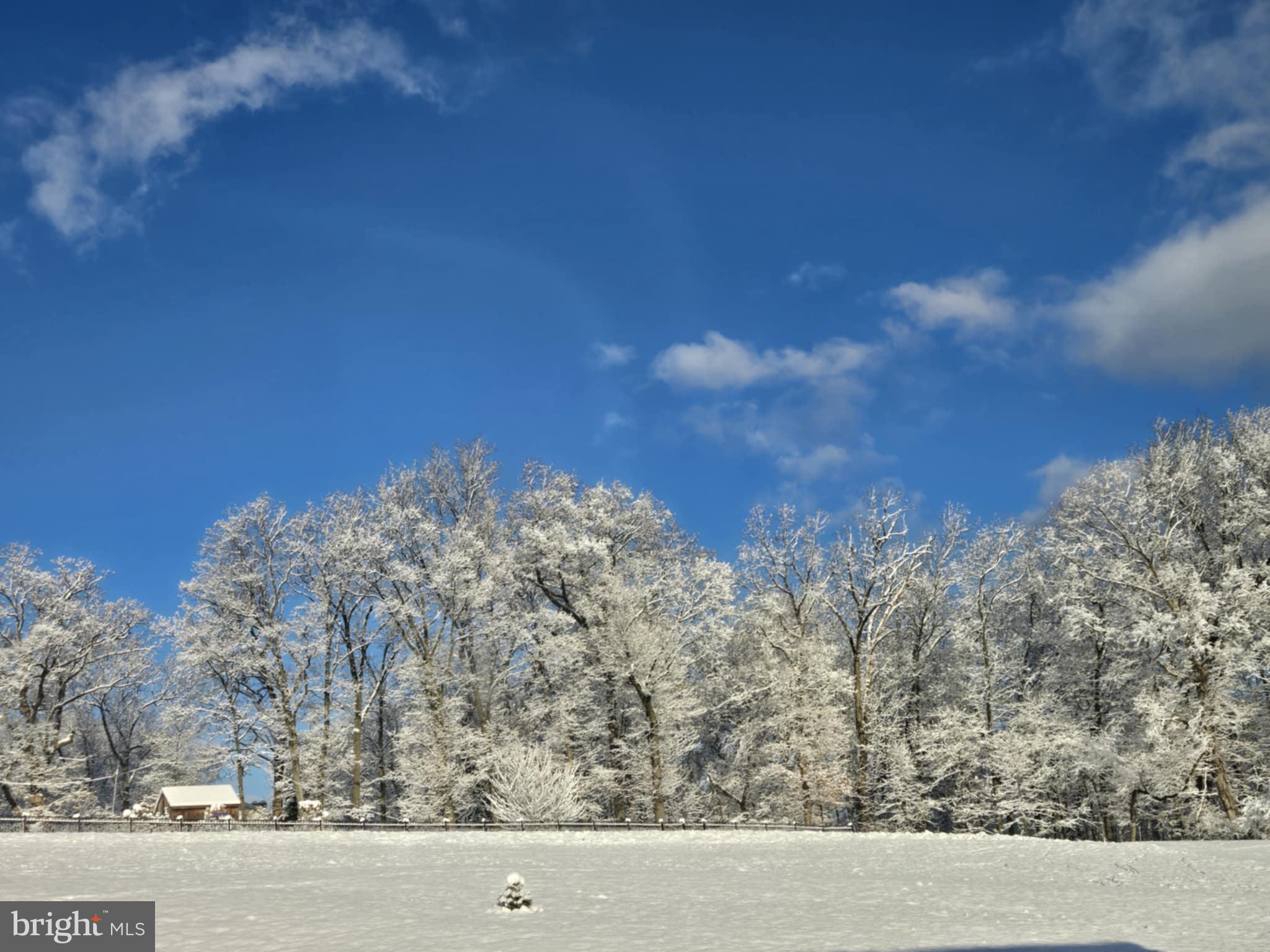 SPRING FORGE - Residential