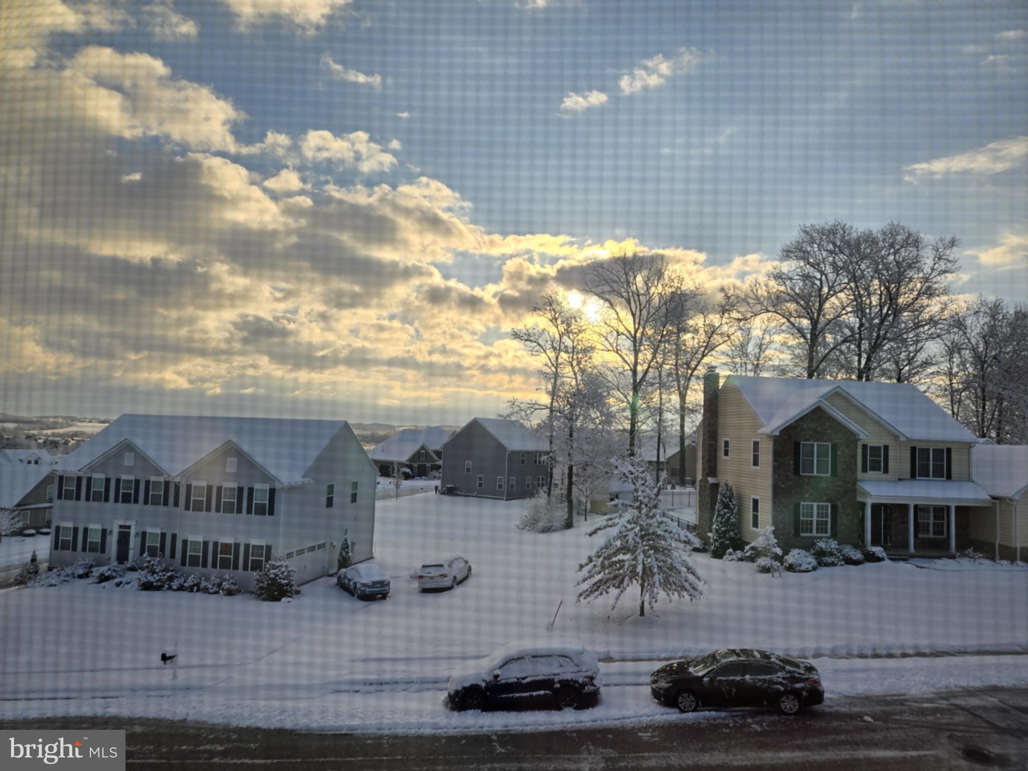 SPRING FORGE - Residential