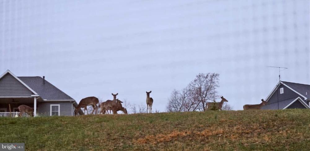 SPRING FORGE - Residential