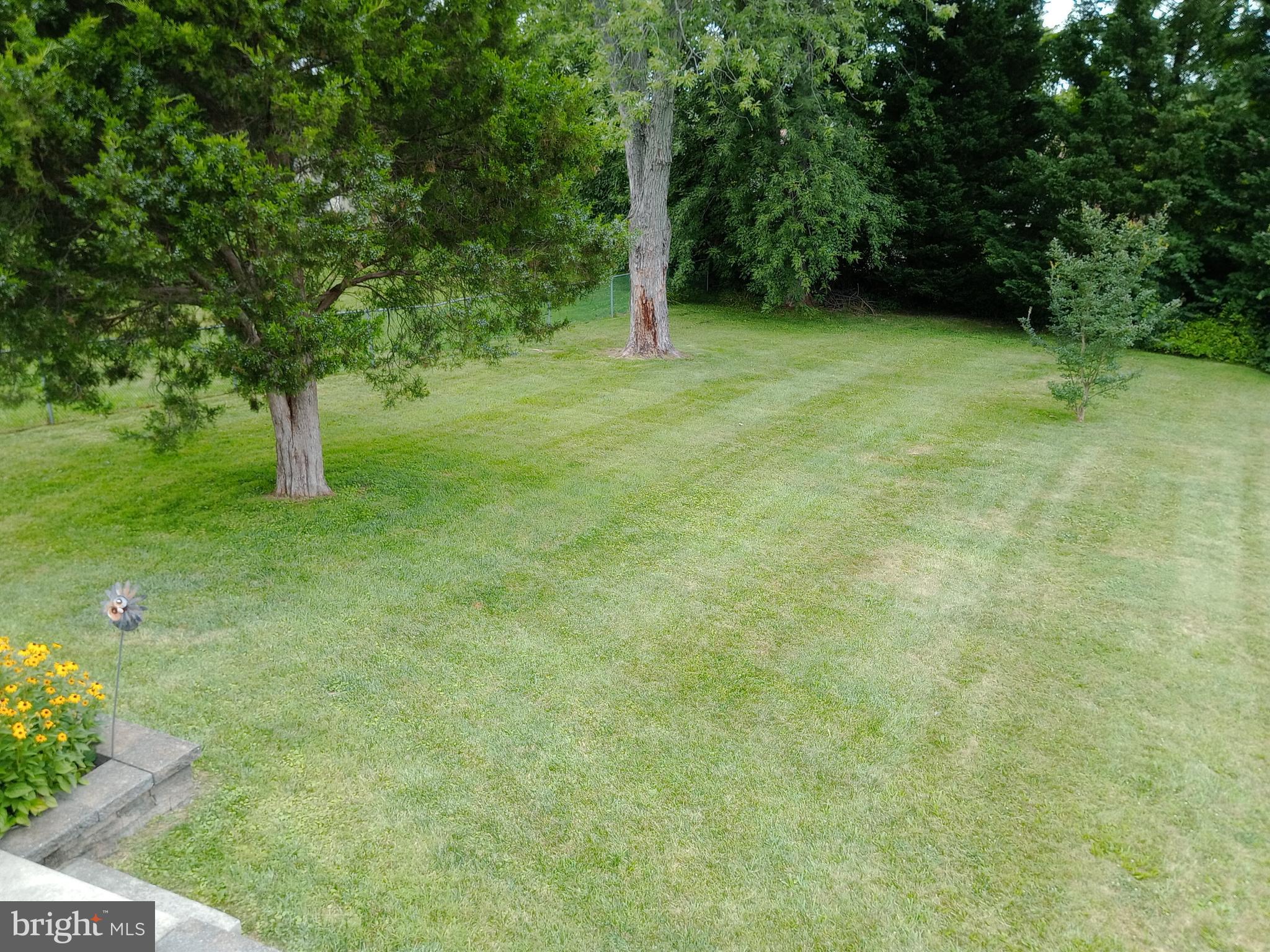 ROSEDALE - Residential